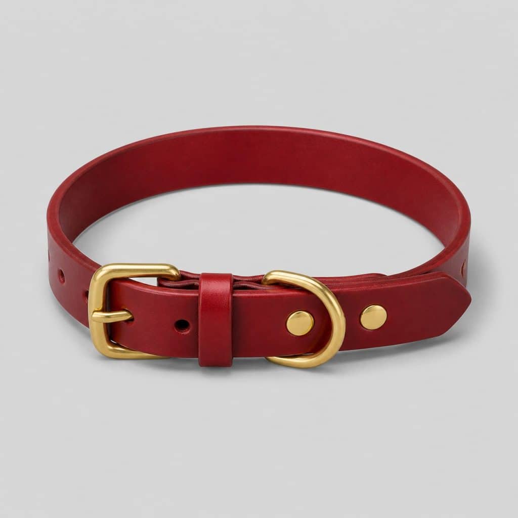 Collier en cuir rouge à boucle en laiton massif, vue à plat