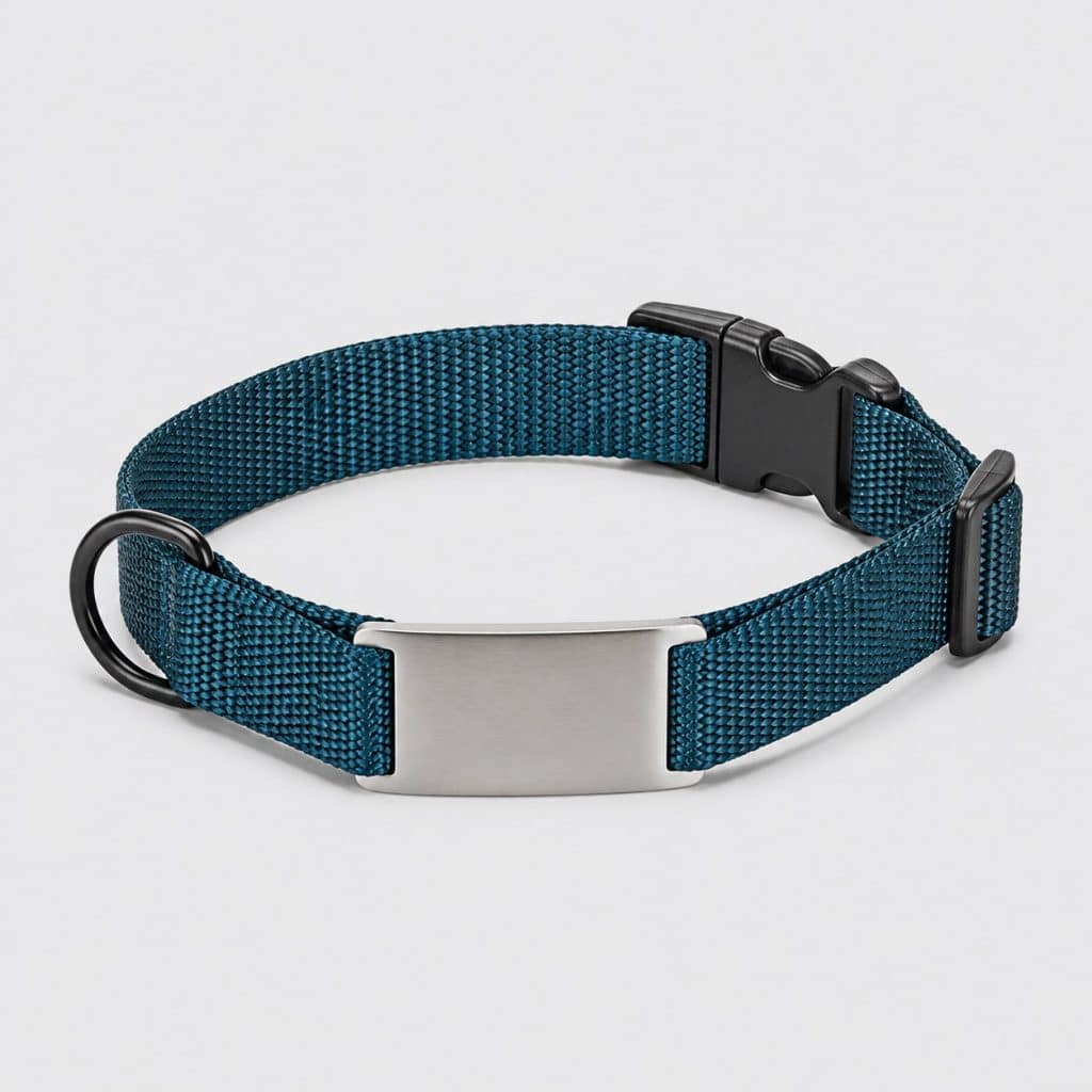 Collier en nylon réglable avec plaque à graver intégrée, vue à plat