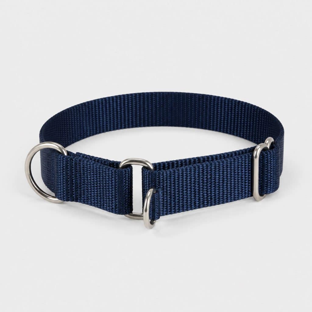 Collier martingale bleu marine en sangle nylon de 25 mm, posé à plat
