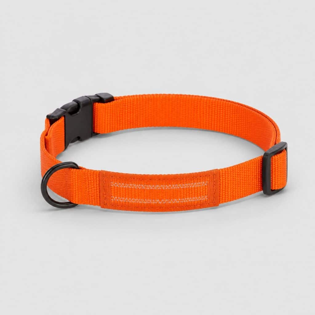 Collier personnalisable brodé pour chien, sangle orange vue à plat