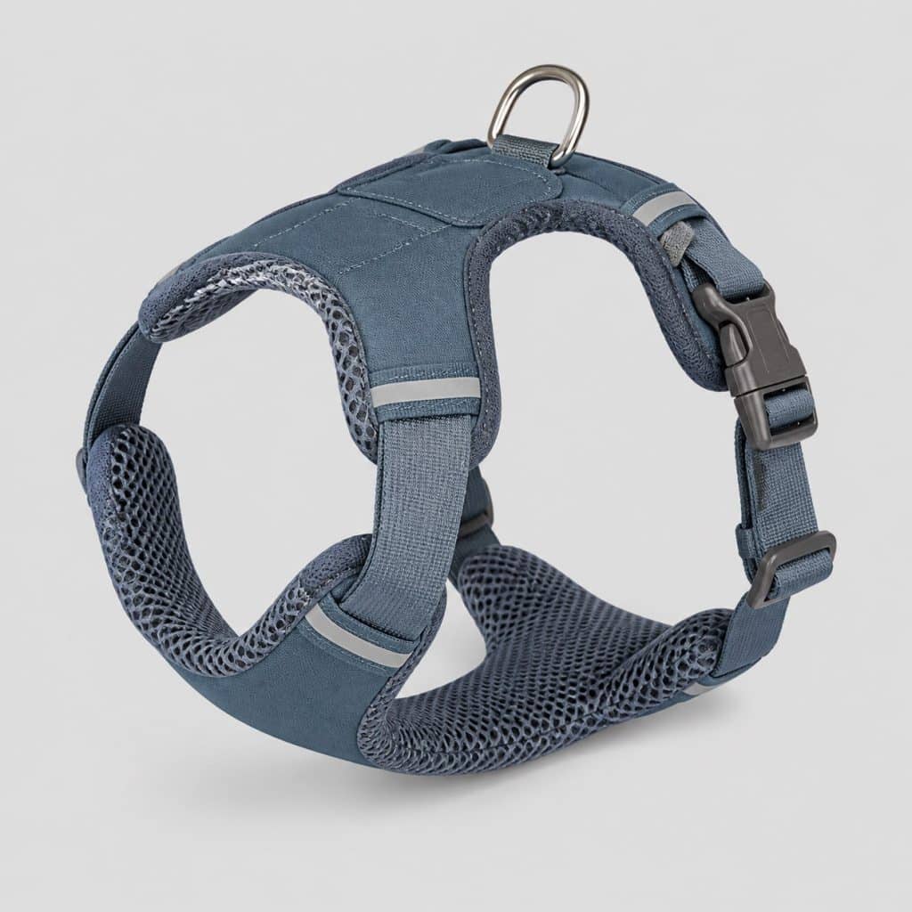 Harnais de randonnée rembourré pour chien avec plastron large et sangles ventilées