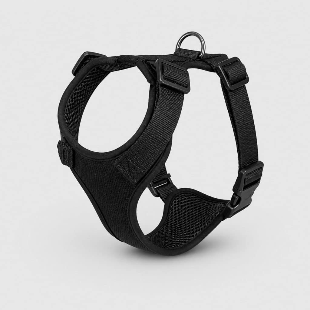 Harnais en Y anti-traction pour chien avec anneau dorsal et anneau ventral