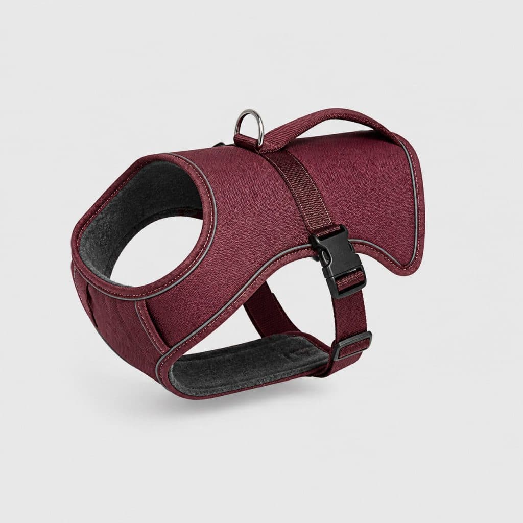 Harnais norvégien pour chien avec plastron horizontal large et réglage au thorax