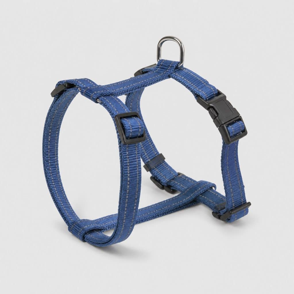 Harnais réglable pour chiot en sangle souple, posé à plat avec ses quatre boucles de réglage