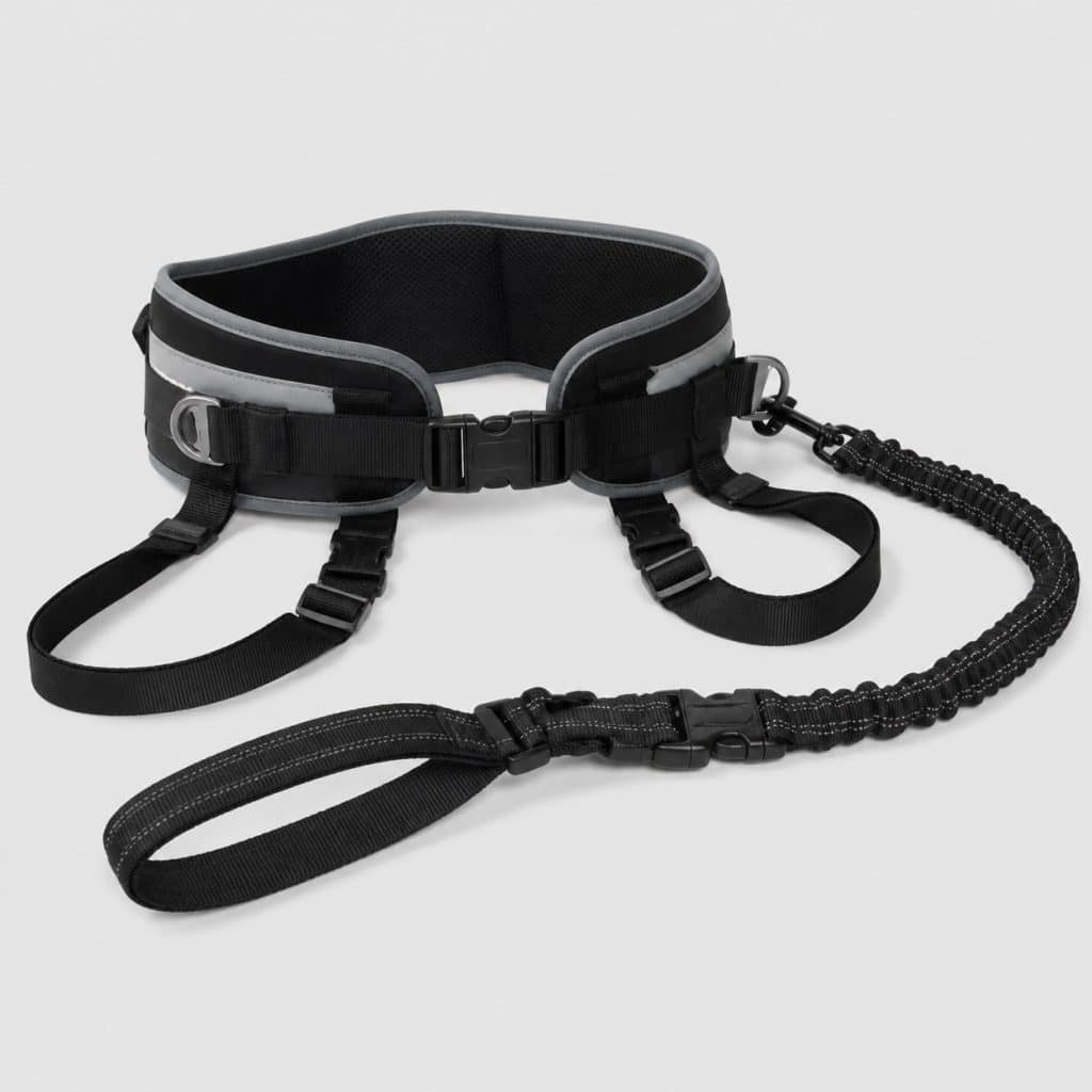 Laisse mains libres à ceinture lombaire et longe élastique pour la course